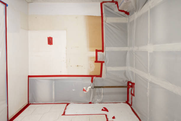 Mold Remediation for Rental Properties in Montezuma, IA