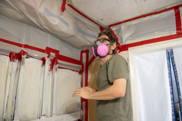 Best Environmental Consulting for Mold Prevention  in Montezuma, IA