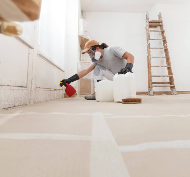  Montezuma, IA Mold Removal Pros