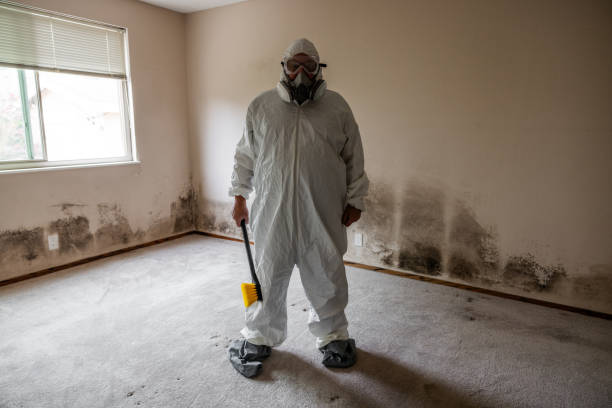 Best Mold Prevention Services  in Montezuma, IA