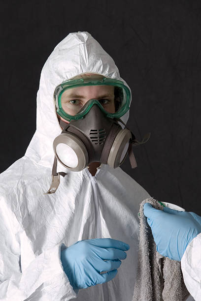 Best Mold Remediation for Rental Properties  in Montezuma, IA